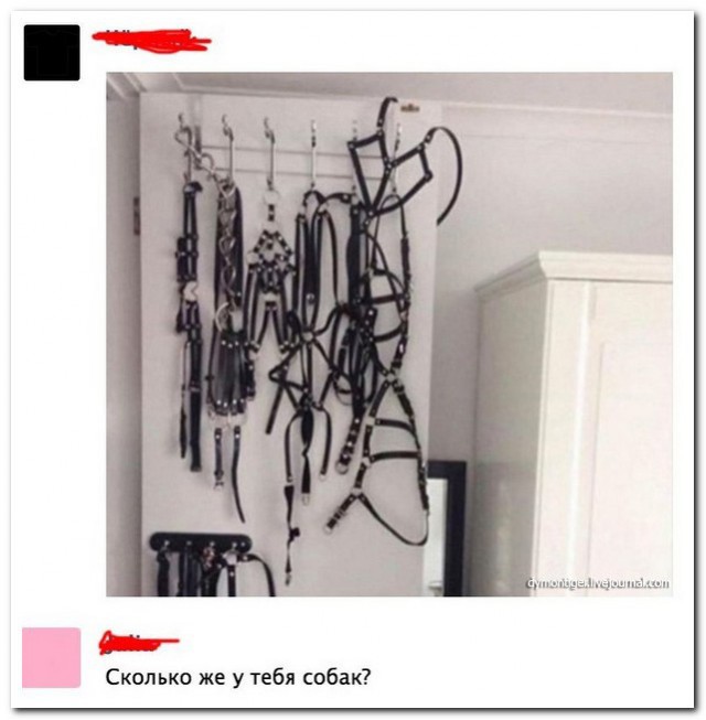 Смешные комментарии из социальных сетей 01.04.2016.