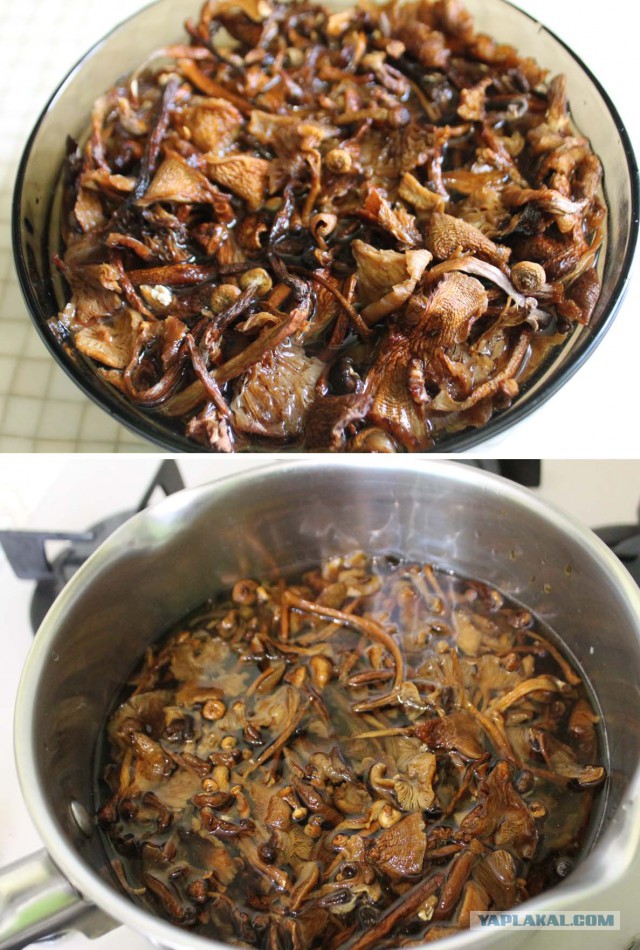Кундюбки для дяди Вовы