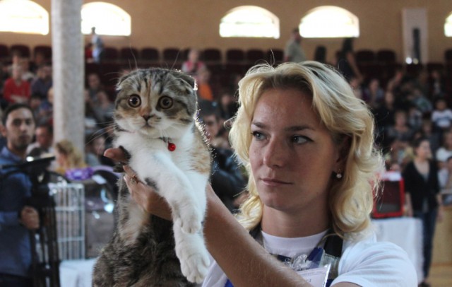 «Осенний Кошкент-2016»