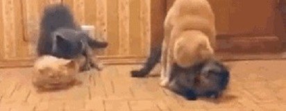 Не так сели! ©