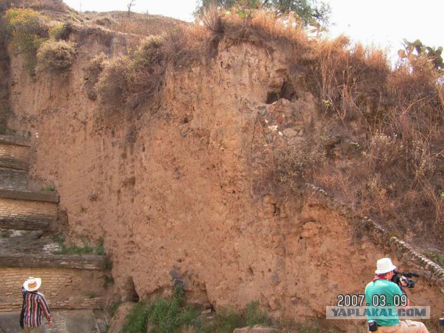 Пора вари... валить бетон! "Альты", шах и мат!