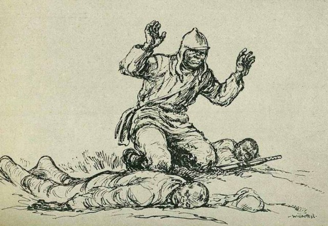 Тесово - Нетыльский. Реконструкция боя в 2017 году.