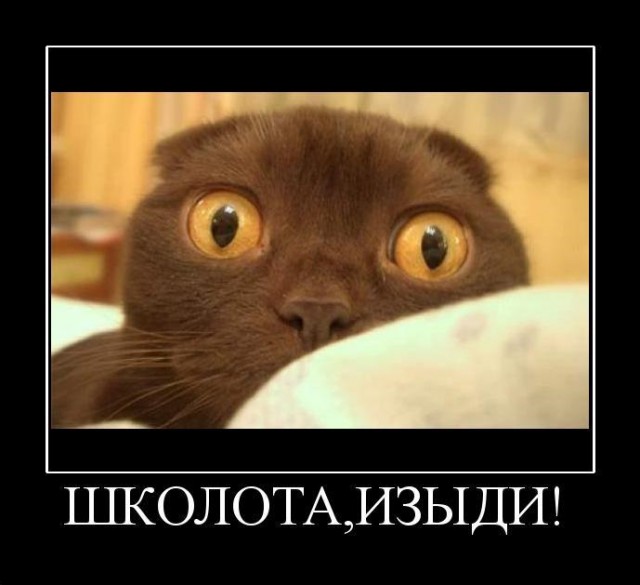 Был друг и не стало друга