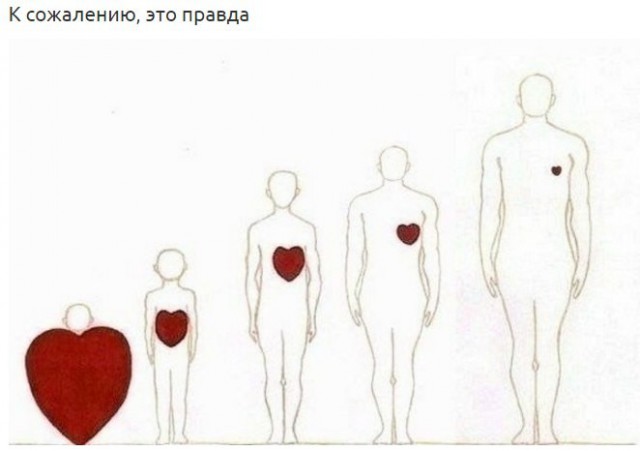Очень много годноты