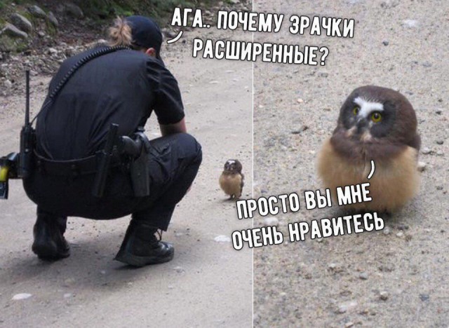 Нестандартный юмор