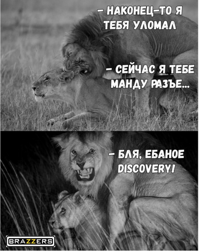 Не очень адекватный юмор