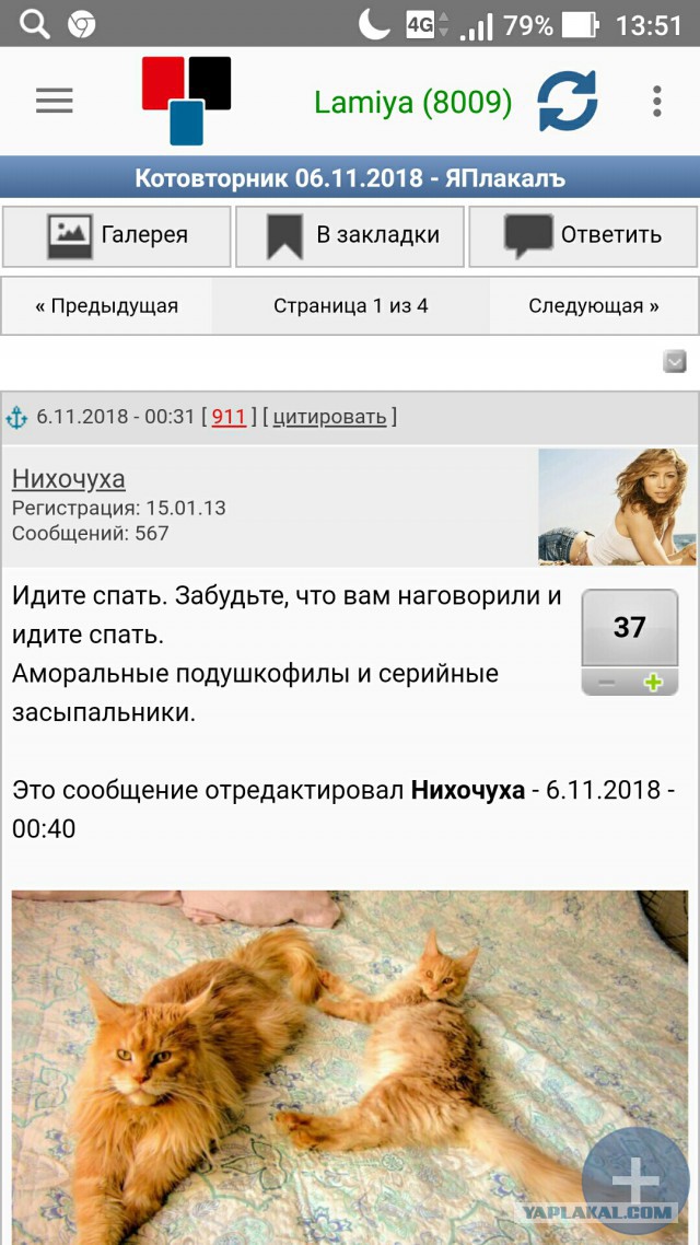 Для чего созданы коты