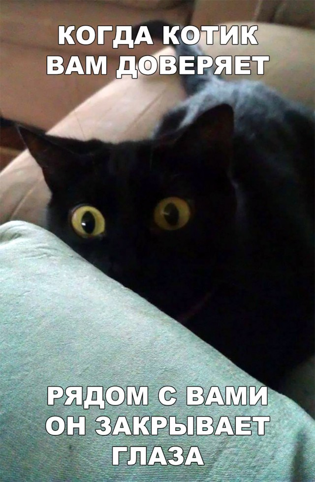 Немного милоты