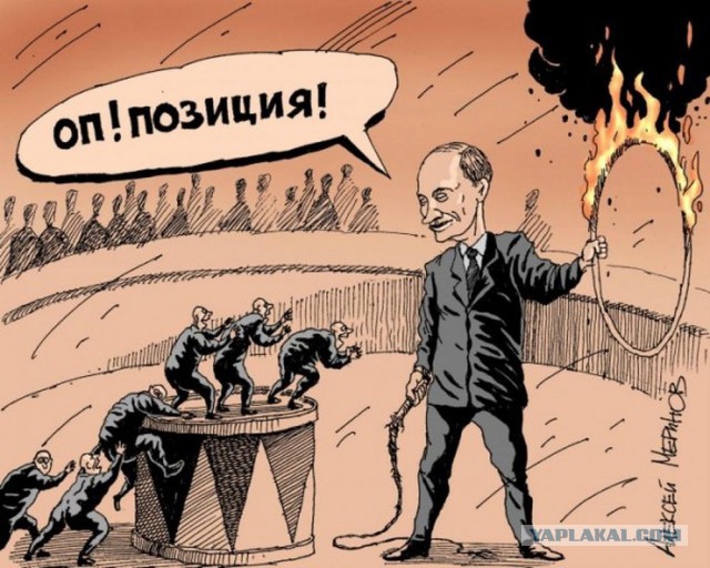 Карикатуры Сергея Ёлкина на последние события в стране