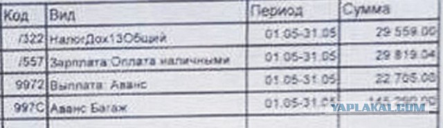 Опубликован зарплатный квиток грузчика "Шереметьево" на 230 тысяч рублей