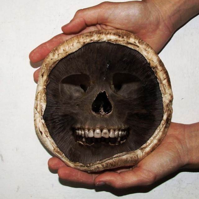 Грибы и секс!