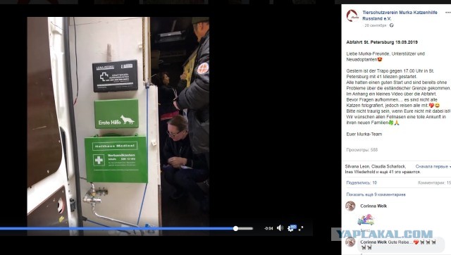 Помогите вернуть кота! Приют "Преданное сердце" украл кота и не отдает!-2