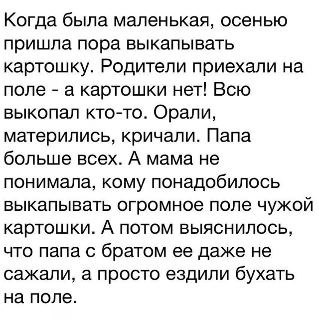 «Жимолость уже сожрали»: уральские садоводы страдают от небывалого нашествия дроздов