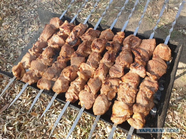 #ЯПовар. Электрошашлык из свинины с маринованным луком.