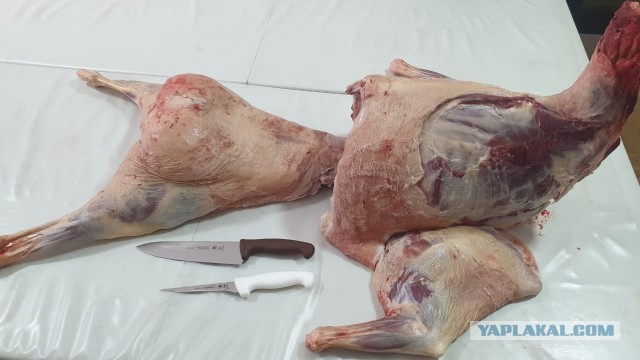 Кто чем на кухне орудует?