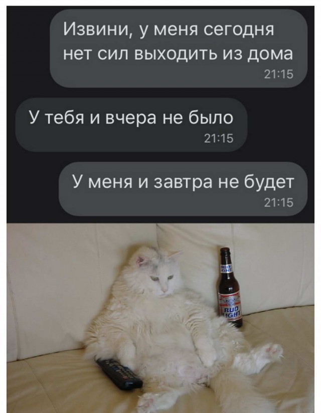 Картинки и мемы для настроения 024