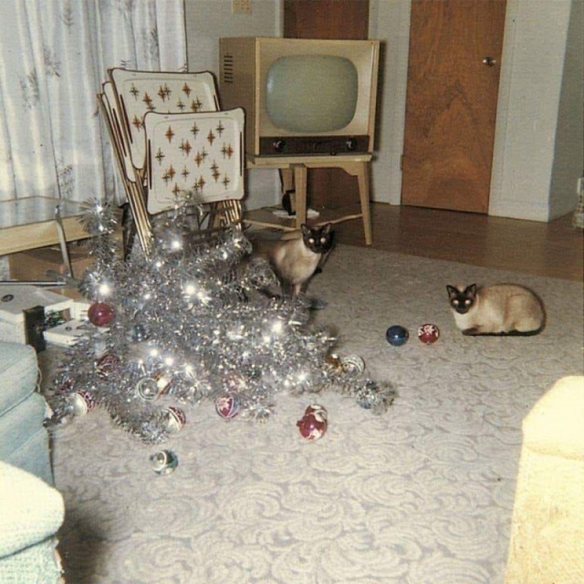 Интересные и редкие ретро-фотографии 07.12.20