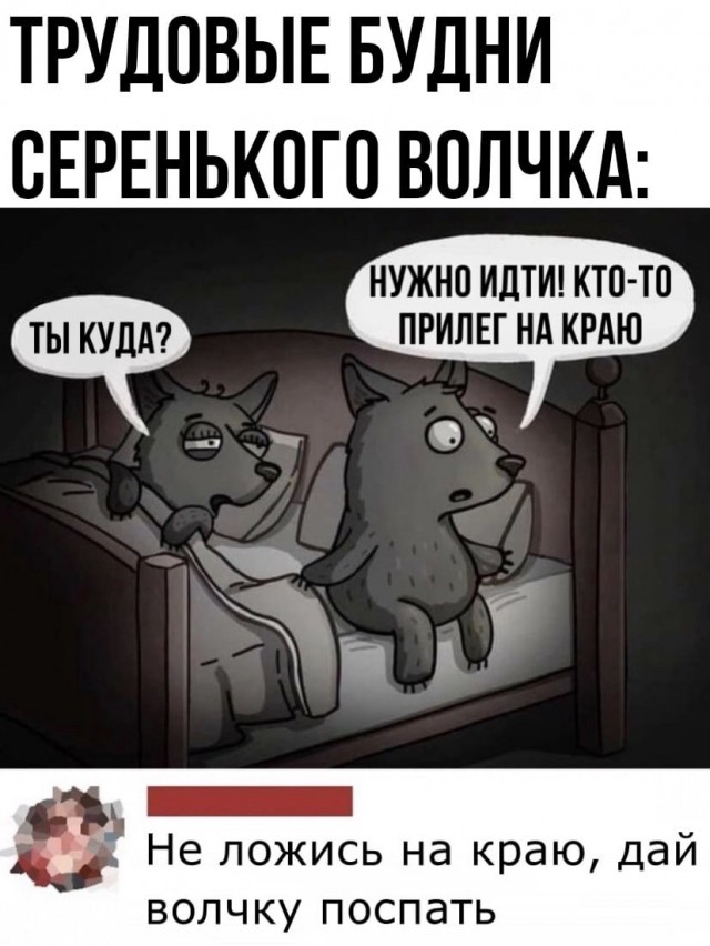 Боянистые картинки 19.12.20