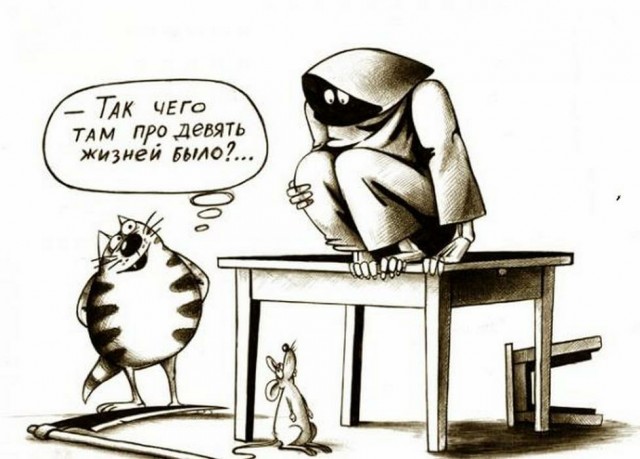 С котопятницей! Улыбнемся?