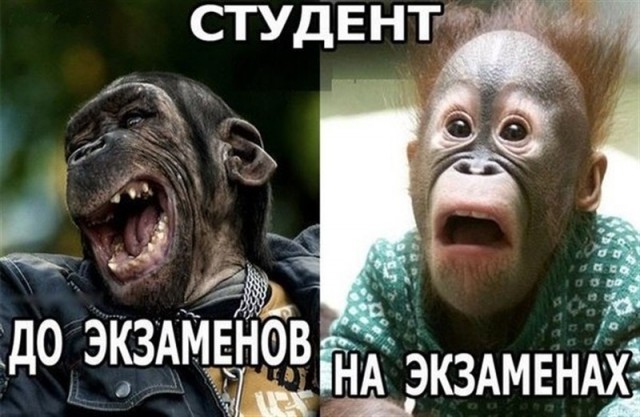 Картинки 19.01.21