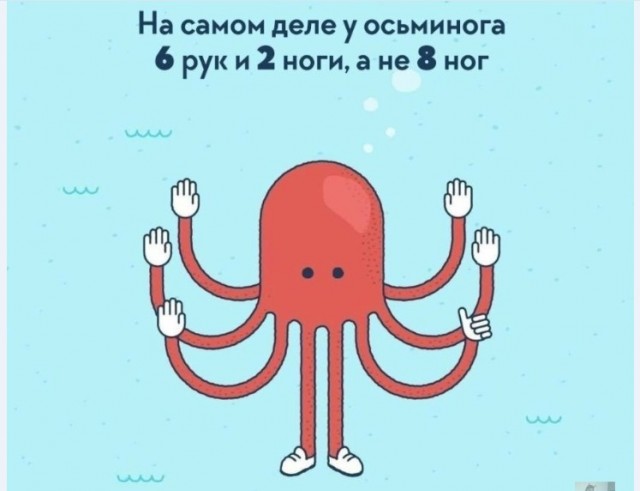 Картинки и мемы для настроения 015