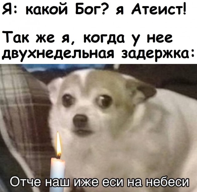 Мемы про секас