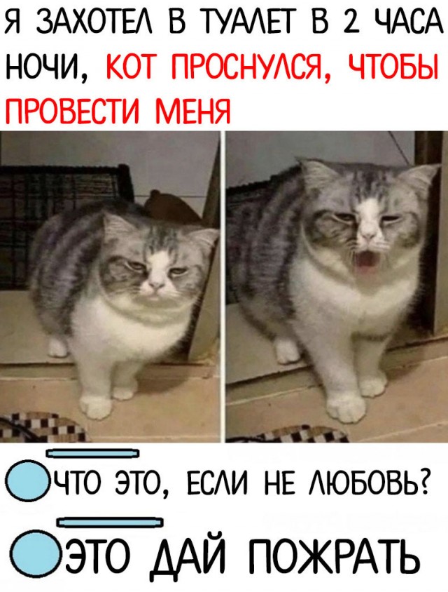 Так себе картинки 14.03.21