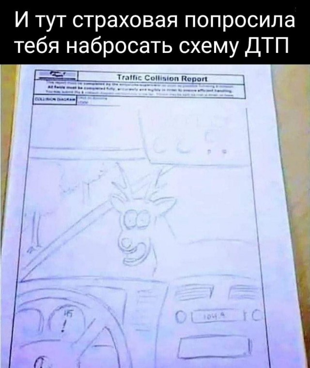 Картинки и мемы для настроения 005