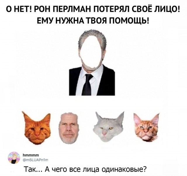 Картинки и мемы для настроения 14.04.2021