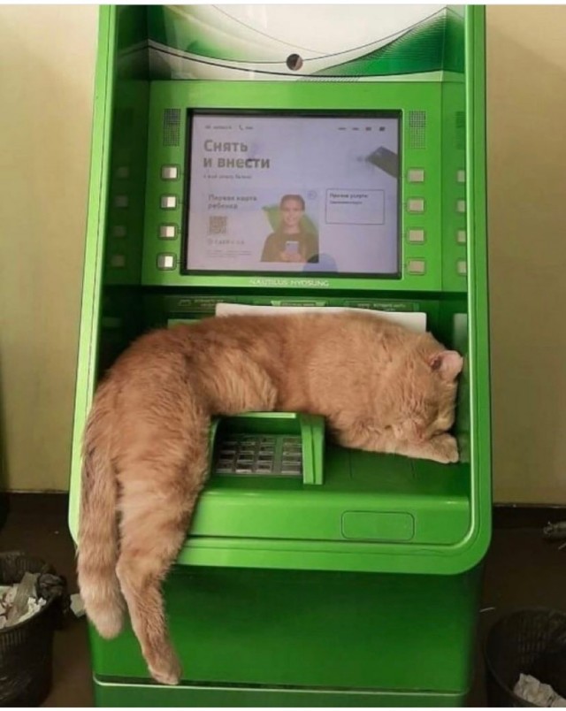Картинки на вчера