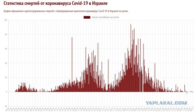 Здравый смысл в тиктоке