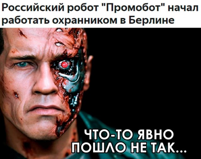 Весёлый полтишок 31.07