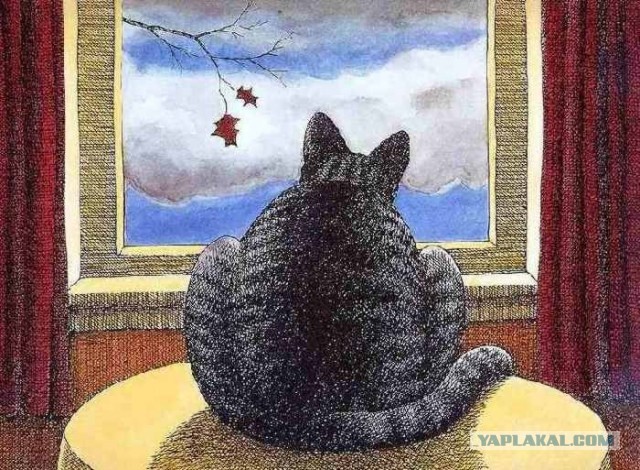 Про женщин, которые выпивают