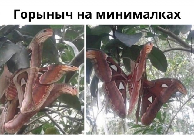 Так себе картинки 01.04.22