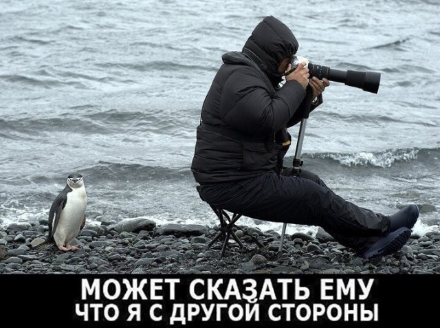Баянисто-небаянистый юмор 21.04.22