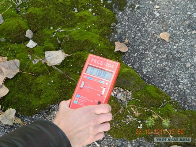 Моя поездка в Чернобыль