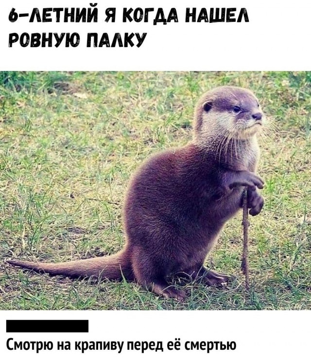 Так себе картинки 26.07.22
