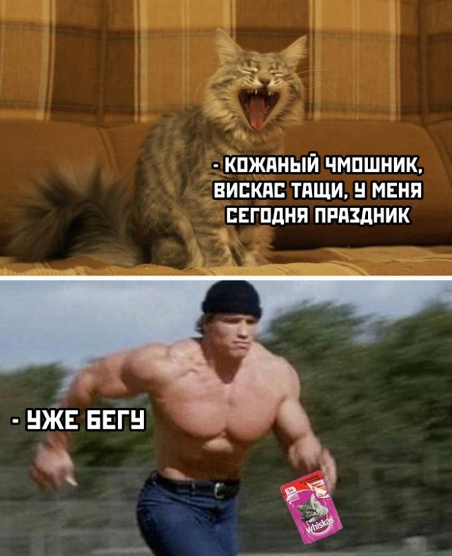Картинки и мемы для настроения - 11