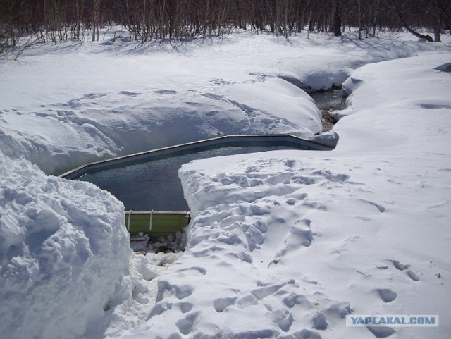 Петропавловск-Камчатский и его окрестности...