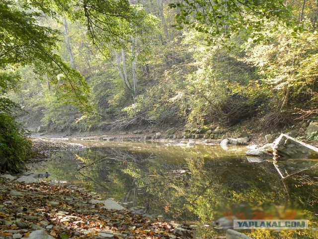 Фото с телефона