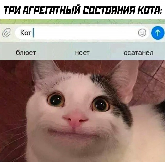 Местами суровая действительность (баяны)