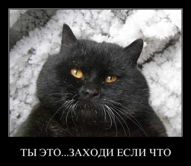 Весёлый полтишок 30.03.23