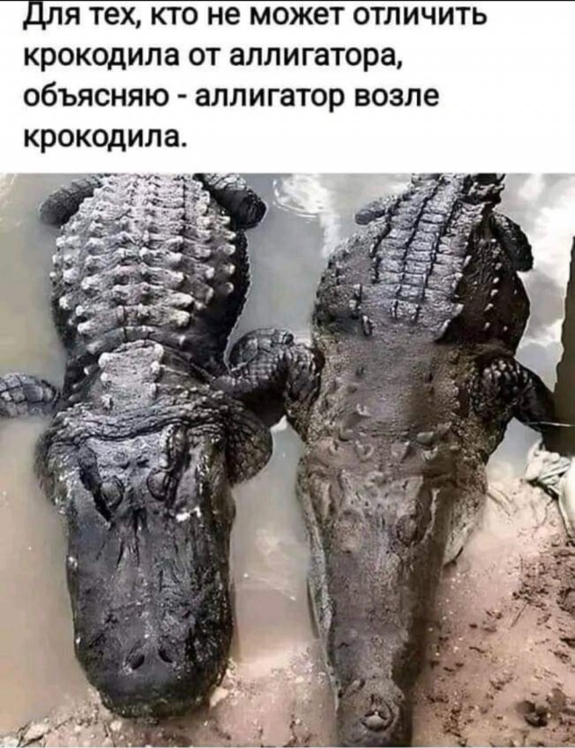 Простата хуже воровства