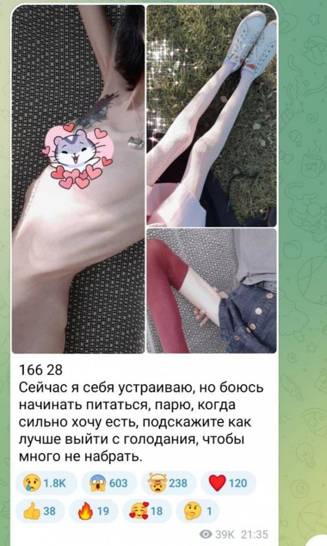 Ой, жируха, худеть тебе надо!