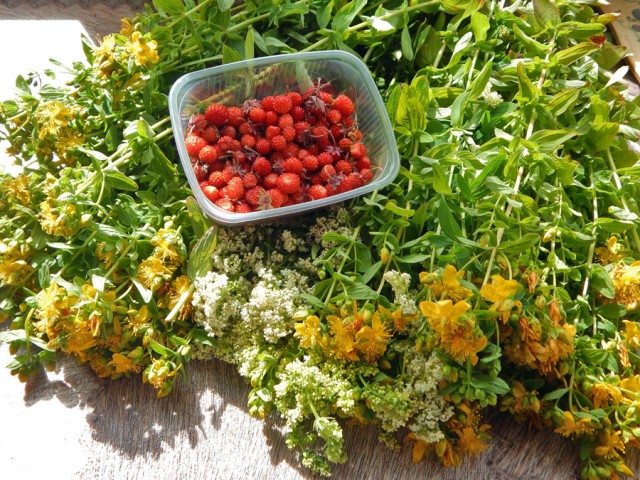 Уральское лето моими глазами