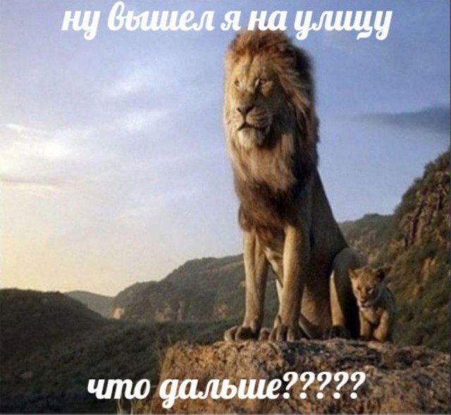 Всего понемногу. От 29.07