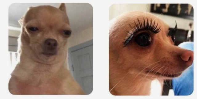 7 странных вопросов о нашем теле