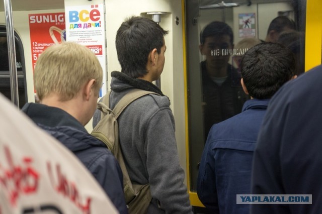 Жириновский о приезжих (Враг наступает)