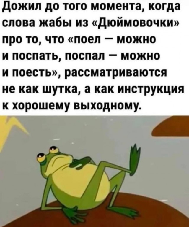 Так себе картинки 11.05.24
