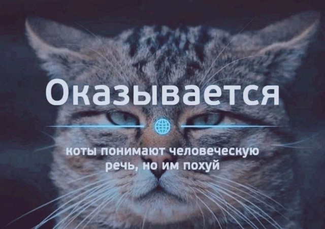 Сборник бабаянов или неожиданная помойка